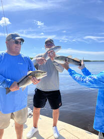 Punta Gorda Report Photo 1