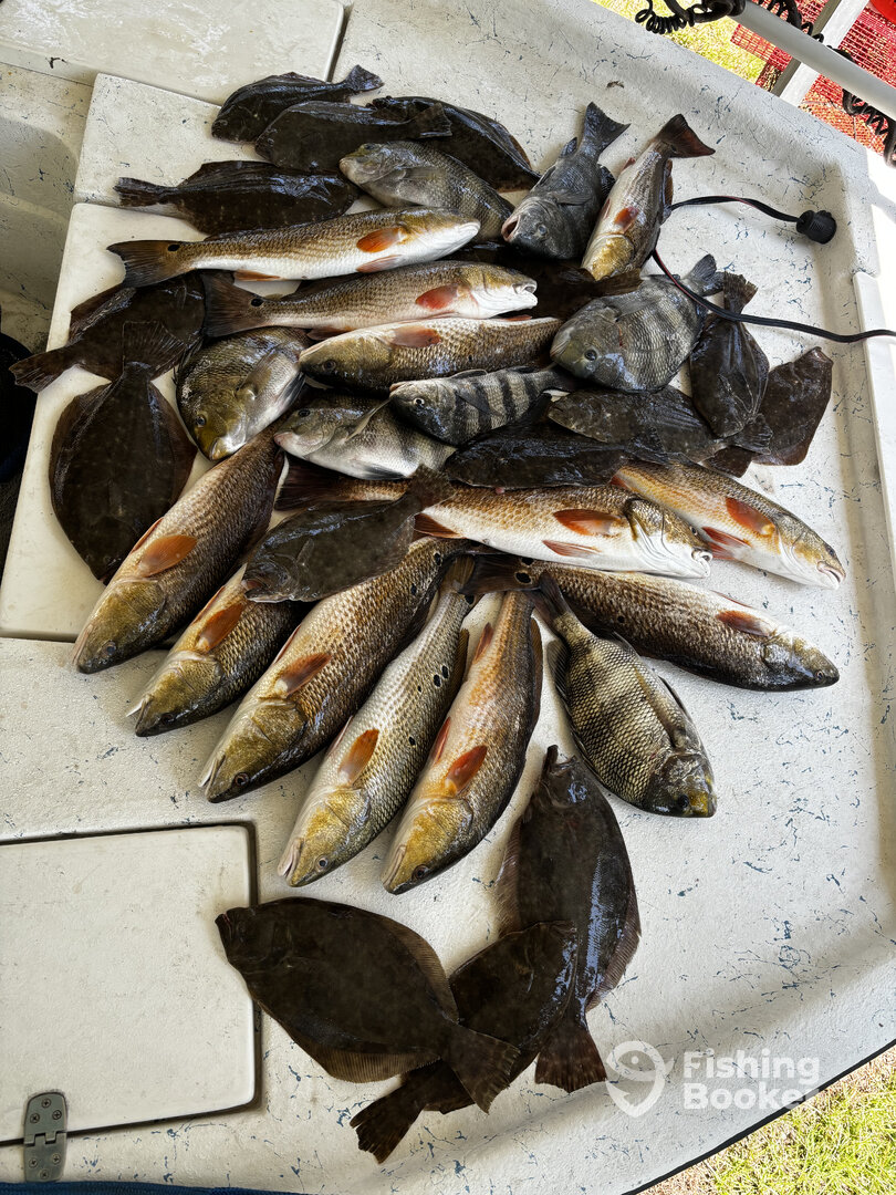 Ocean Springs Report Photo 0