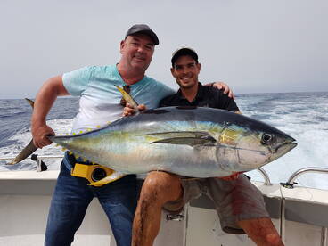 Yellowfin Tunas and many Bonitos!!!