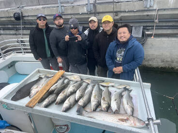 San Francisco Report Photo 2