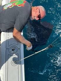 Sail Fish & Yellow Fin tuna