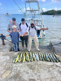 Dominicus Report Photo 3