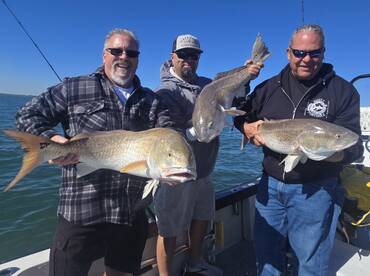 Rolling Gold all morning