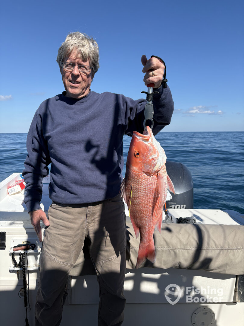 Edisto Island Report Photo 0