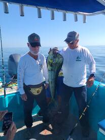 Gran dorado el dia de hoy!