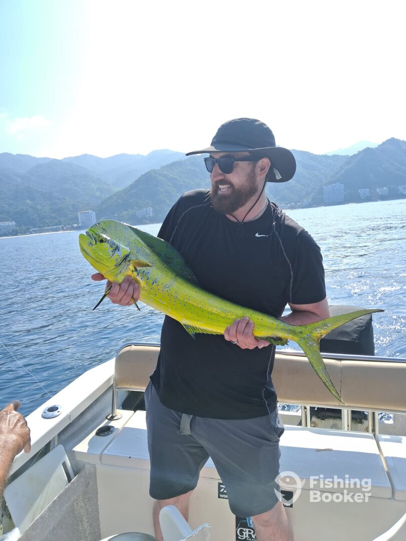 Puerto Vallarta Report Photo 0