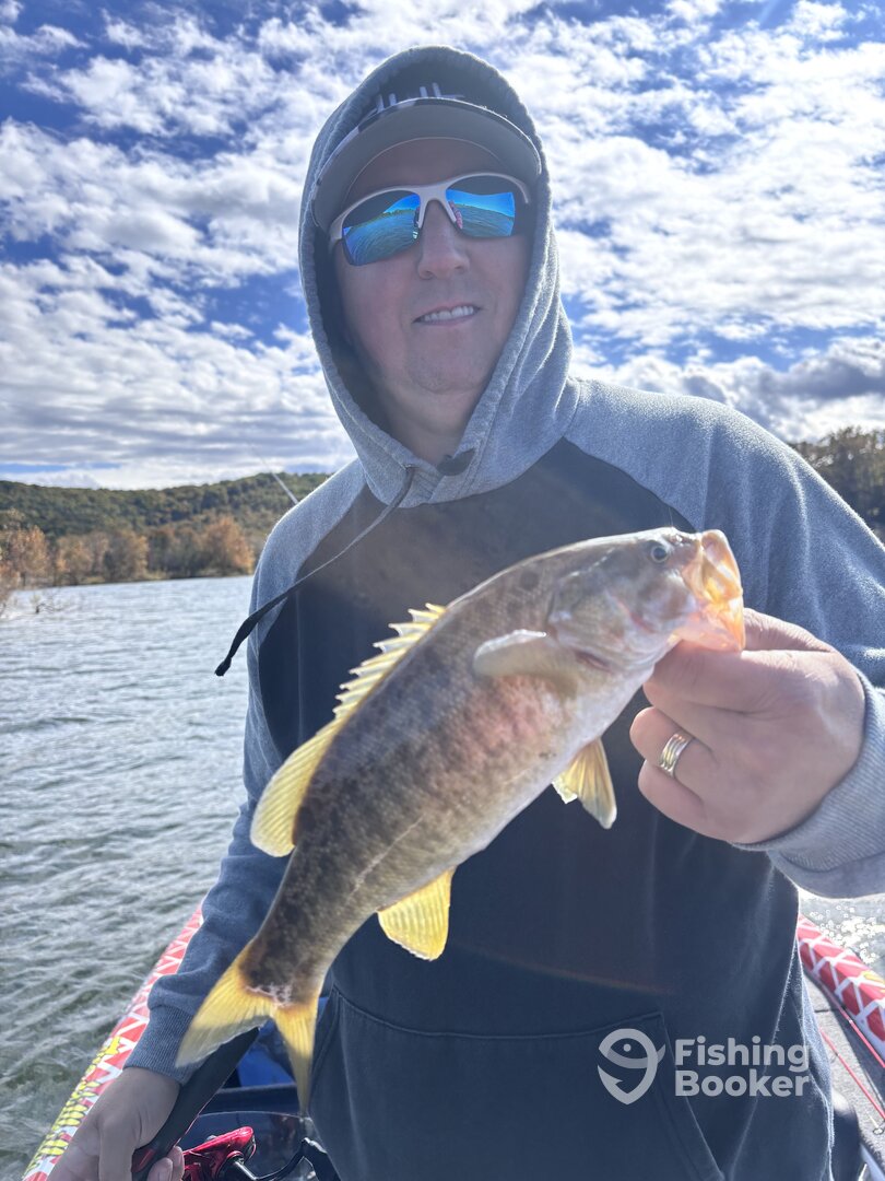 Branson Report Photo 0