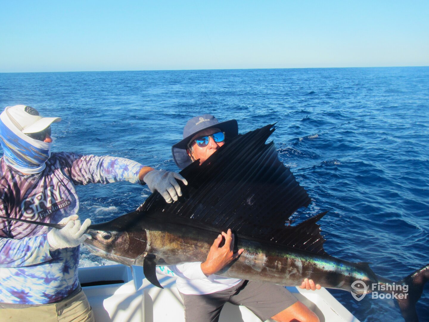 Cabo San Lucas Report Photo 0