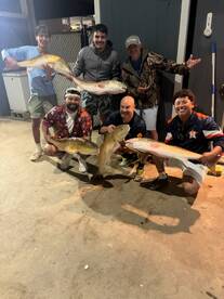 Galveston Report Photo 1