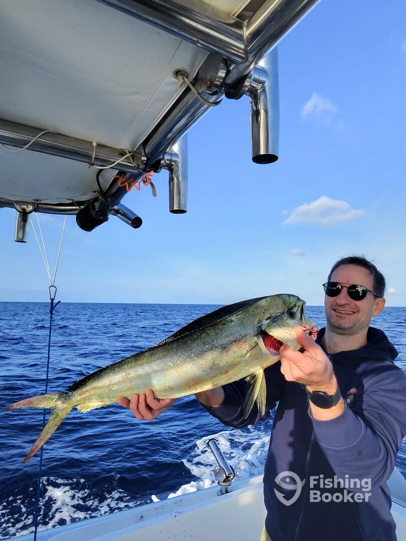 Sicily Report Photo 0