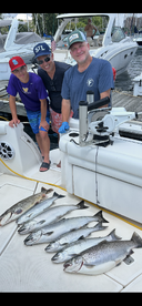 Chicago Report Photo 2