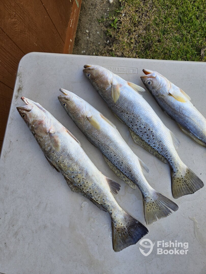 Danbury Report Photo 0