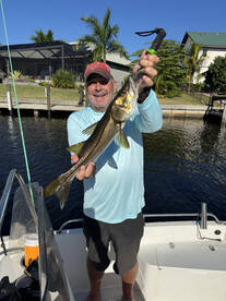 Punta Gorda Report Photo 1