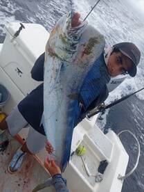 Herradura Report Photo 1