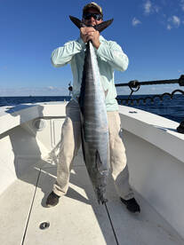 Jacksonville Report Photo 2