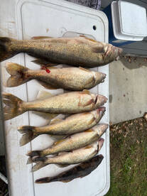 Cumberland River Report Photo 1