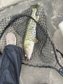 Cumberland River Report Photo 3