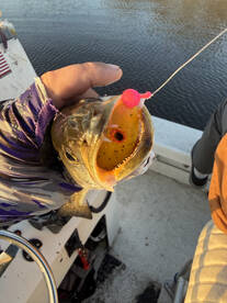 River Road Report Photo 2