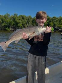 November GRAND SLAMS!