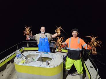 Another great catalina island expedition