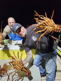 Oceanside Report Photo 2