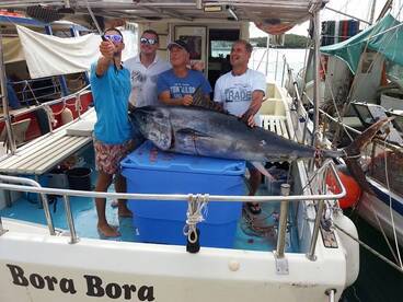 Vrsar Report Photo 1