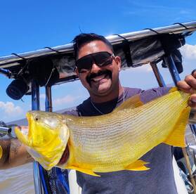 Tigre Report Photo 2