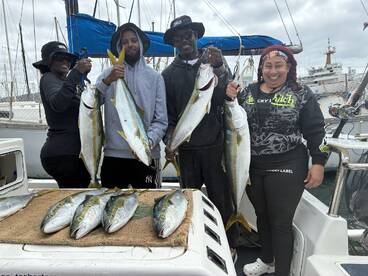Yellowtail Kingfish on the bite 