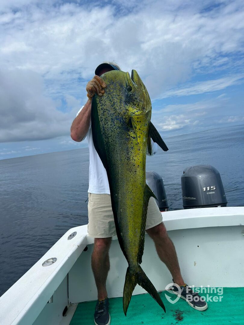 Herradura Report Photo 0