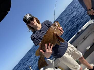 Las Galletas Report Photo 2