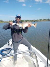 Houston Report Photo 1