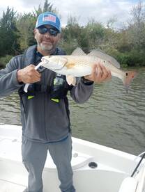 Houston Report Photo 2