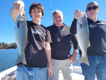 Gainesville Report Photo 2