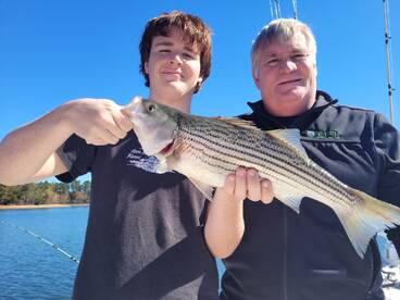 Gainesville Report Photo 1