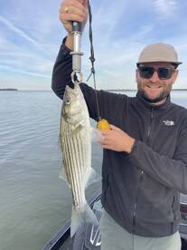 Woodbridge Report Photo 2