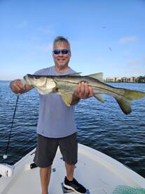 Sarasota Report Photo 1