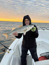 Middletown Township Report Photo 1