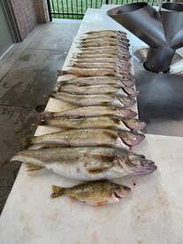 Crew had a great day!  Bonus perch