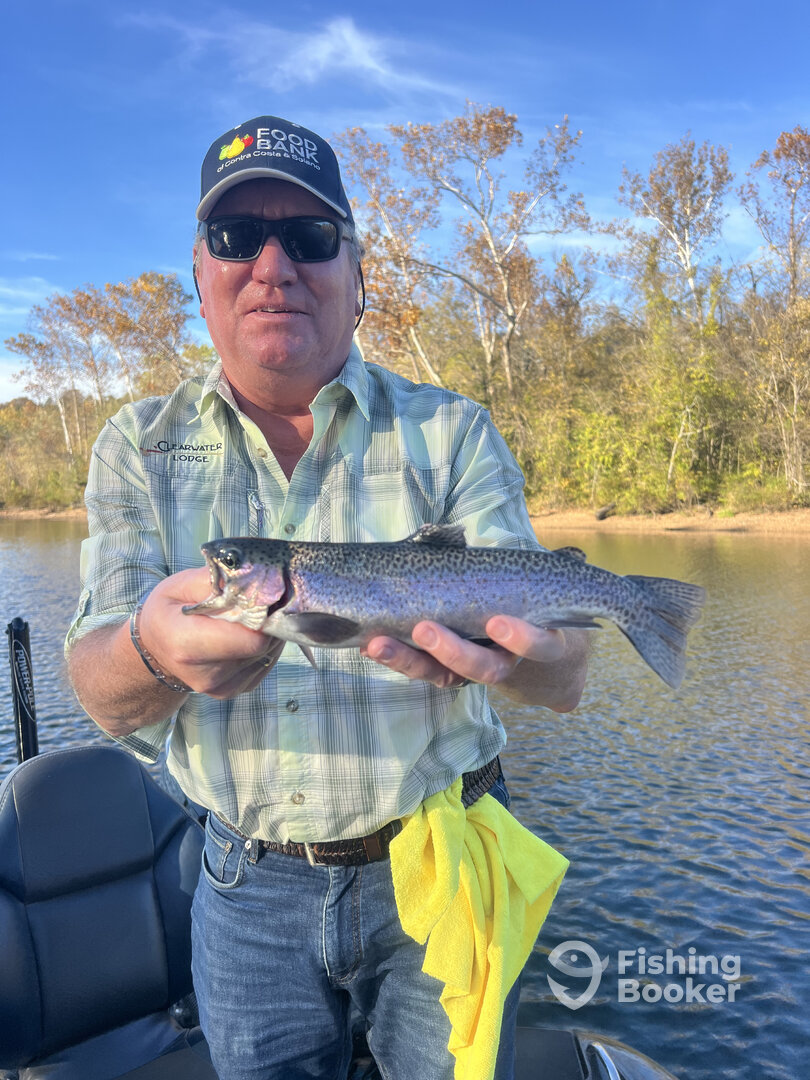 Branson Report Photo 0