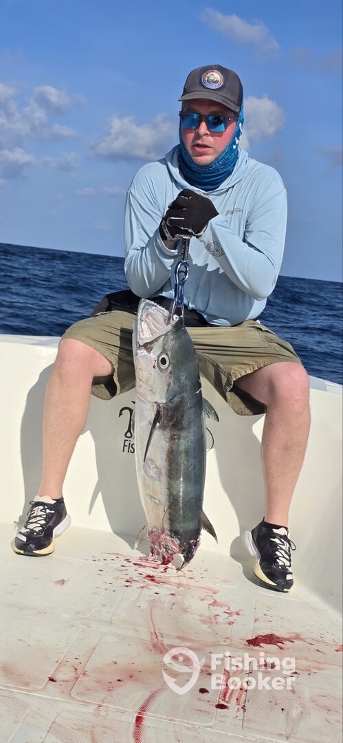 Dharavandhoo Report Photo 0