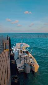 Dharavandhoo Report Photo 1