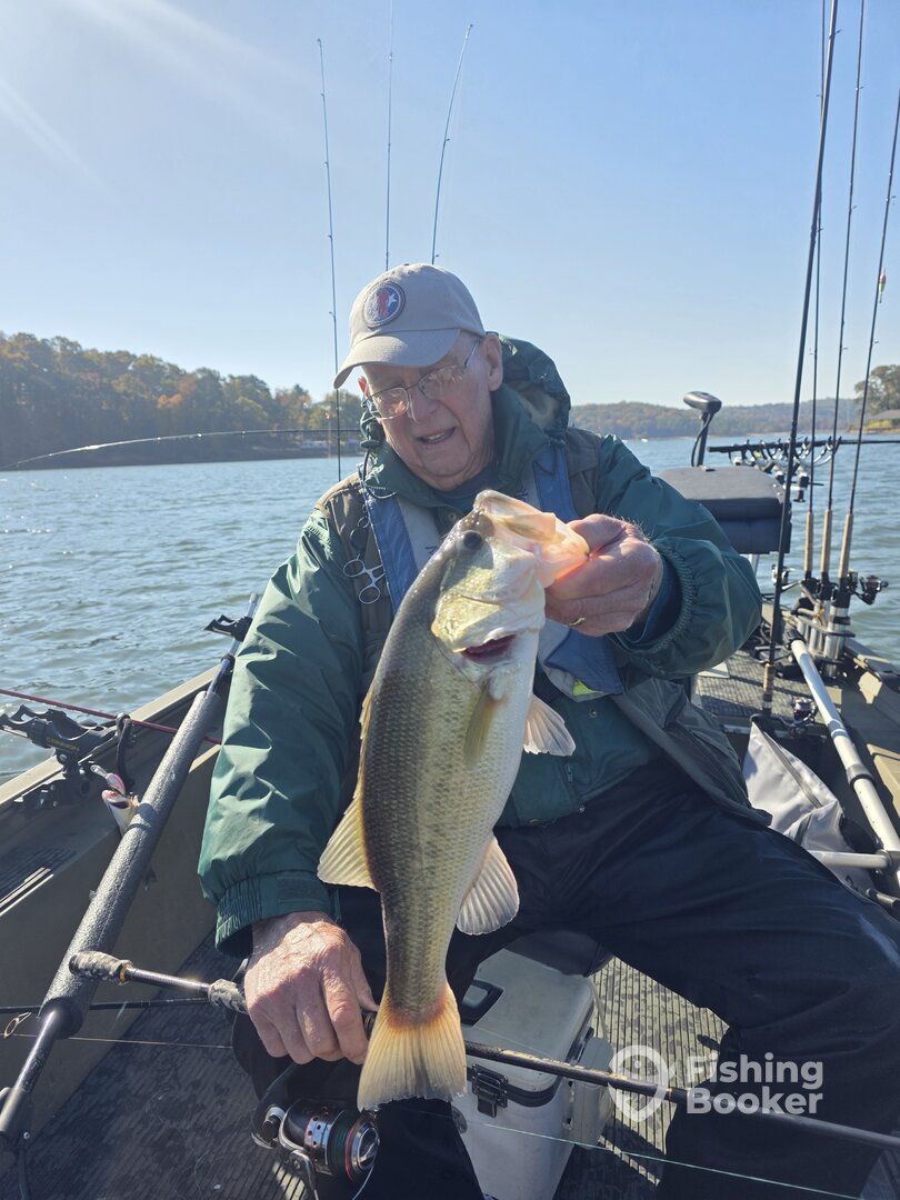 Harrison Report Photo 0