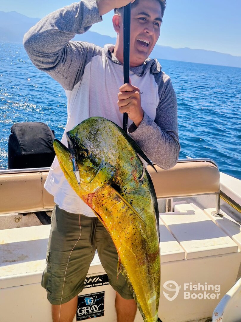 Puerto Vallarta Report Photo 0