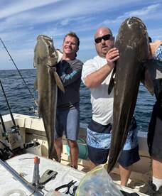 Pictures from last 4 trips as well as 2 