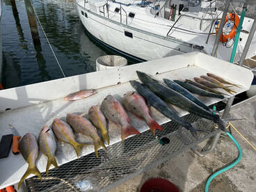 Key West Report Photo 2