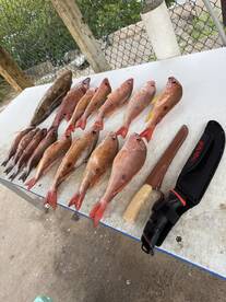 Tampa Report Photo 2