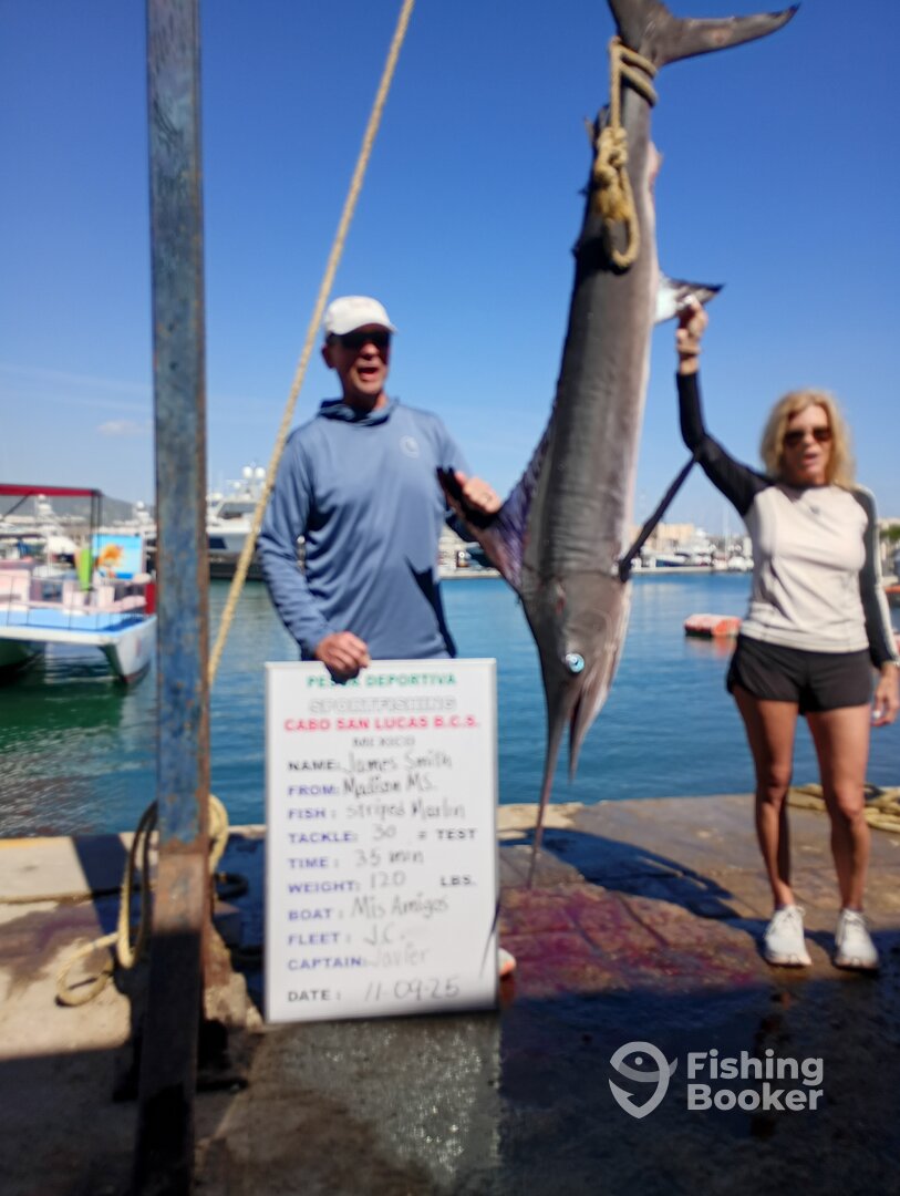 Cabo San Lucas Report Photo 0