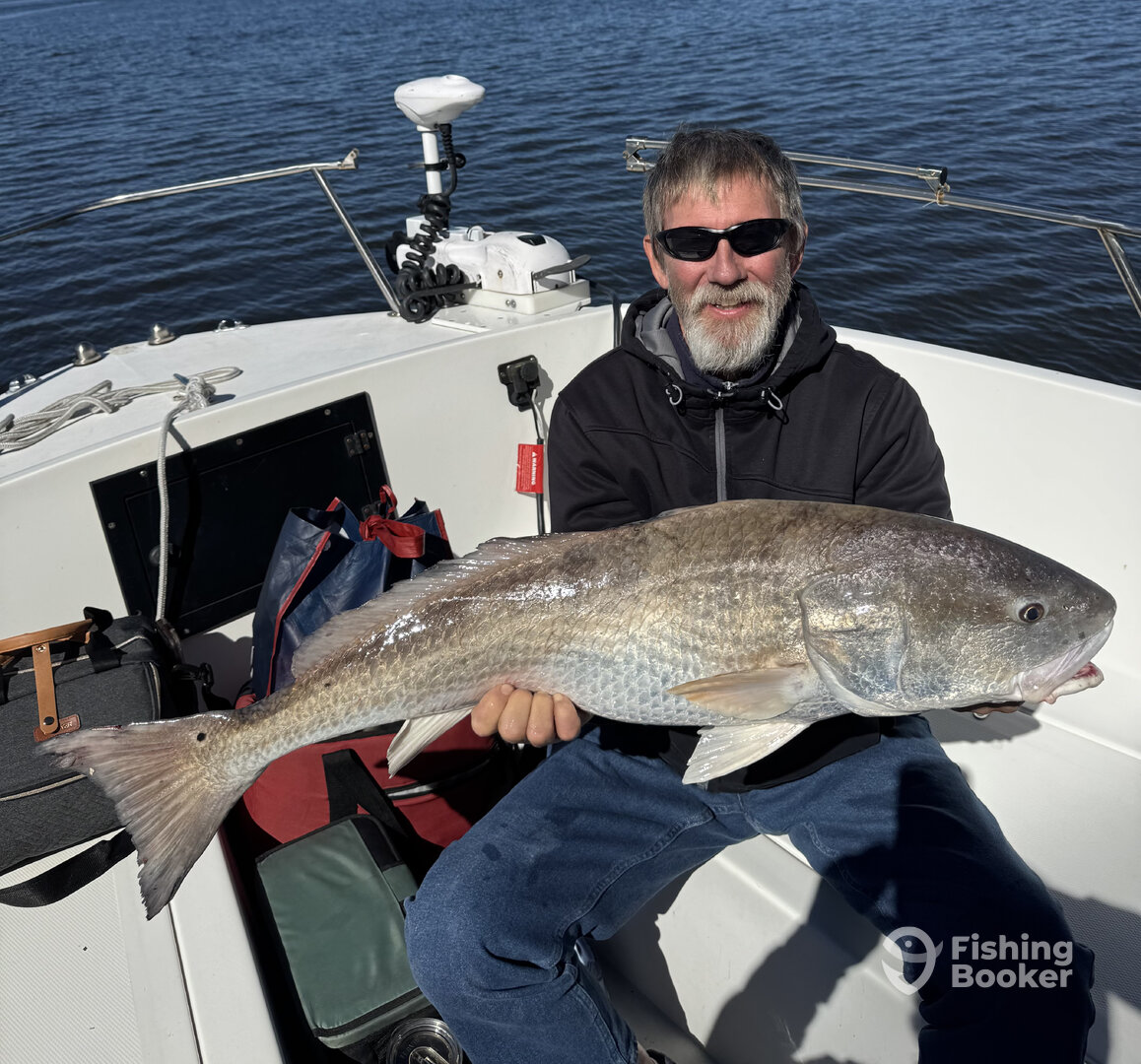 Port Orange Report Photo 0