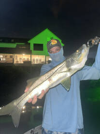 St. Petersburg Report Photo 1