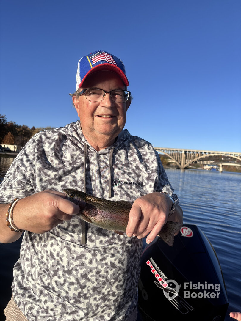 Branson Report Photo 0